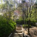 서리풀길 4 이미지