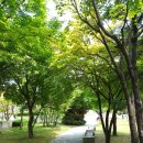 토토피씨 이미지