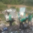 도배마을농장 이미지