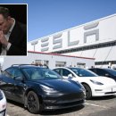 Elon Musk의 Tesla는 대규모 해고로 학생들에게 여름 인턴십 제안을 중단했습니다. 이미지