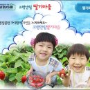 회룡포녹색농촌체험마을