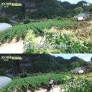 '삼시세끼' 박신혜, 옥순봉 다시온 신혜렐라…옥택연 화색 이미지