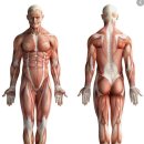 버닝휘트니스 이미지