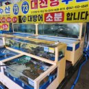 대천항수산 이미지