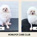 (주)하울팟케어클럽 이미지