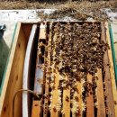 여주-0915 이미지