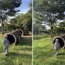 영산강대상근린공원 유아숲체험원 이미지