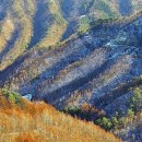 수산리-11 이미지