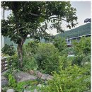 느린 오후가 있는 집 이미지