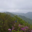 바래봉길 이미지