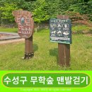 무학숲도서관 | 수성구 무학숲체험 맨발걷기 좋은 다목적생태광장