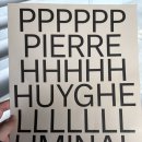 리움 박물관 피에르 위그 전시전: 리미널,Pierre huyghe: Liminalㅣ위치,전시,후기까지