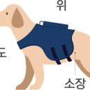 하남숲동물병원 네이버블로그