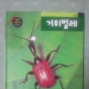 프뢰벨미디어(주)