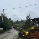 낭만에코파크 이미지