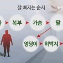 엘라인필라테스