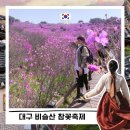 공단삼거리 1공영주차장 입구 | 대구 비슬산 참꽃 축제 진달래 행사 주차장 투어버스 등산코스