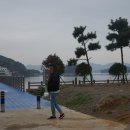 남상공원 오토캠핑장 네이버블로그