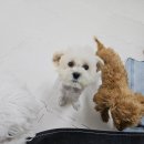 행복을 배우는 공간 이미지