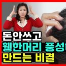 탈모 약 대신 이걸 드시면 머리숱이 많아집니다 영양제 없이도 풍성한 모발의 비결 이미지