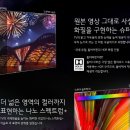 LG UHDTV 최저가 판매 헬로렌탈 초기비용0원 이미지