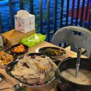 김포 애견동반 식당 라베니체 야외테라스 누룽지 백숙 맛집 장수촌 김포점 내돈내산