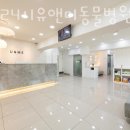 유앤미동물병원 이미지