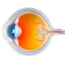 전주안과의원 이미지