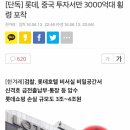 롯데, 중국 투자서만 3000억대 횡령 포착 이미지