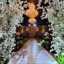 세븐일레븐 대구내당이편한점 | 대구 달서구 비엔나 웨딩홀 추천