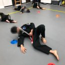 장지합기도 강류관 이미지