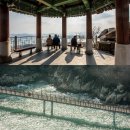 바다 이야기 이미지