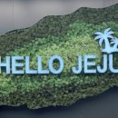 제주 스냅 유아오(유난히 아름다운 오늘) 사전 피팅/빠른 피팅 후기, 홀스테일러 대여복 및 추가금 및 꿀팁