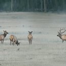 공원수퍼 이미지