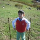 섭이네목장 이미지