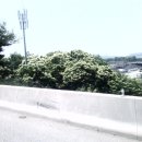 용전다방