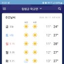금조명