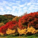 영광칠산타워 입구 이미지