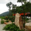 비거농장 이미지