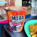 미라농원 | 자연농원 아이가 에버랜드 아빠가 되어 전하는 에버...밸리, 케데헌, 판다월드)와 발레파킹 이용 후기