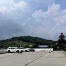 아로하스토리 | 용인 실내 애견카페 아로하스토리 애견운동장 방문 후기