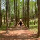 해맞이공원 입구 | 영덕 여행지 추천 3곳 – 메타세쿼이아 숲길, 해맞이공원, 삼사해상공원 후기