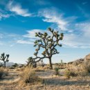 바구스글로벌 이미지
