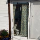 또자펜션 네이버블로그