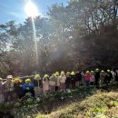 🥬 쁘띠 유기농 배추를 수확했어요! 🥬 이미지