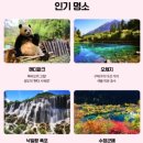 팬더호텔 이미지