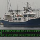 영일1호 이미지