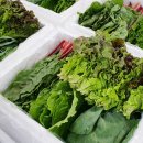 은수농장 이미지