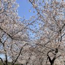 대강행정복지센터 이미지