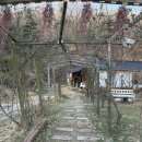 주식회사 레브잇 | [하성면 맛집] 소쇄원간장게장 : 김포 전류리 짜지 않은 간장게장 찐 맛집 추천 🦀